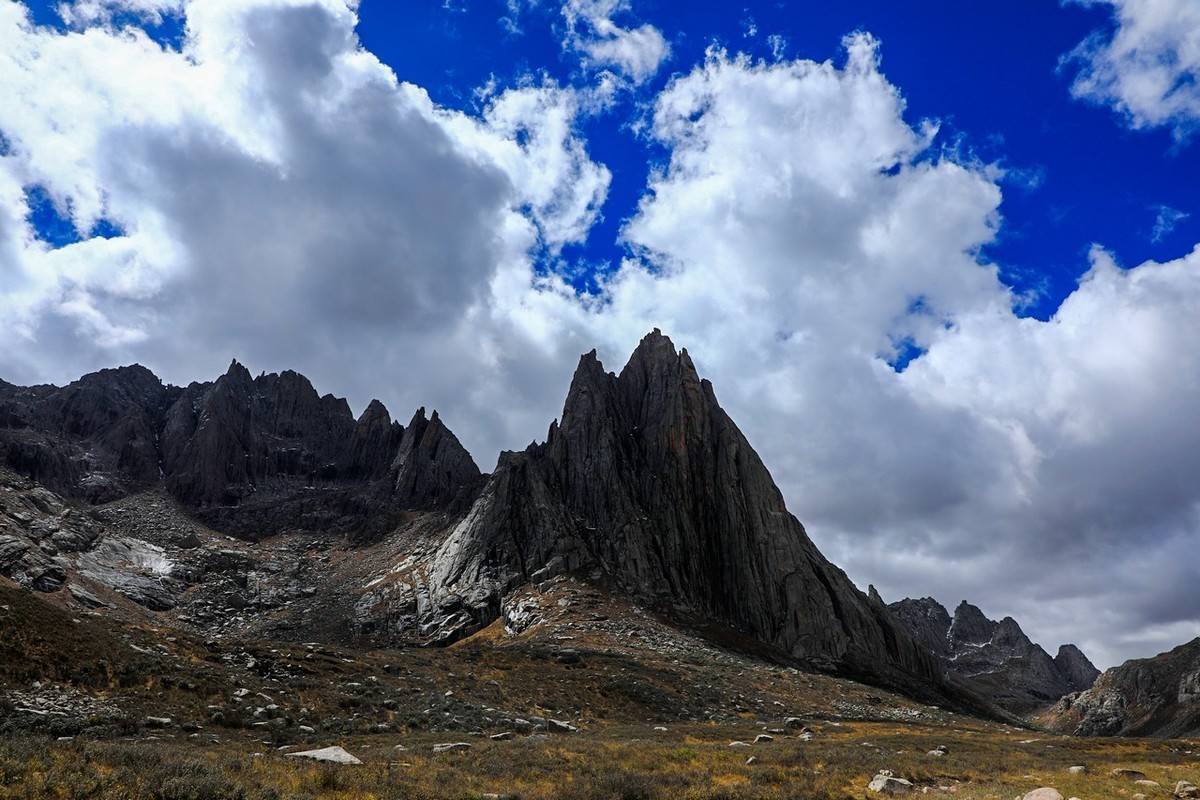 误闯魔幻世界--莲宝叶则（上）