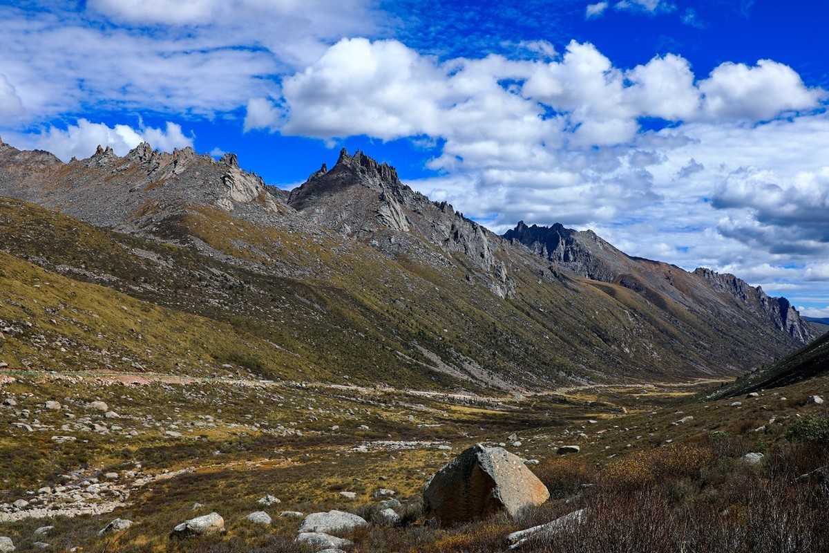 误闯魔幻世界--莲宝叶则（上）