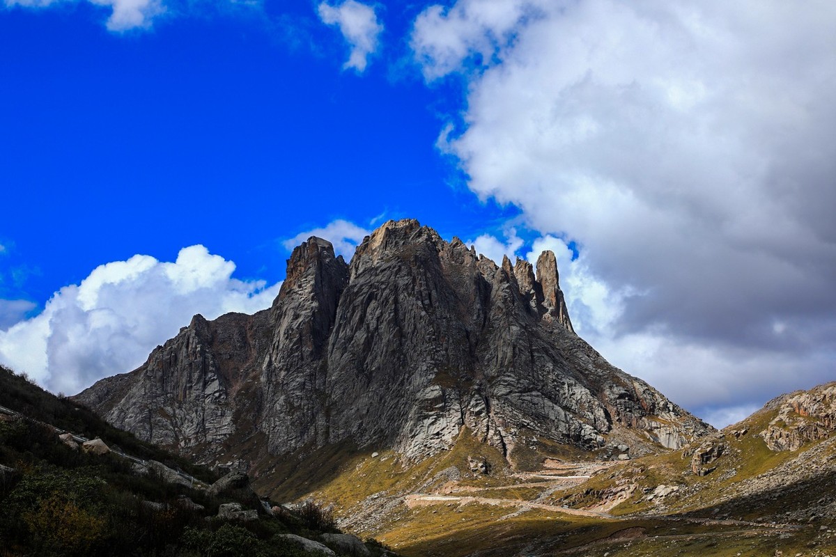 误闯魔幻世界--莲宝叶则（上）
