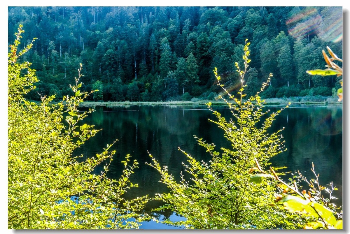 黑森林高山湖--“尼姑湖”游拍