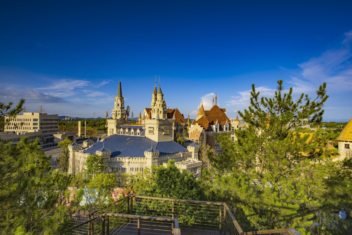 几张老照片，打个卡