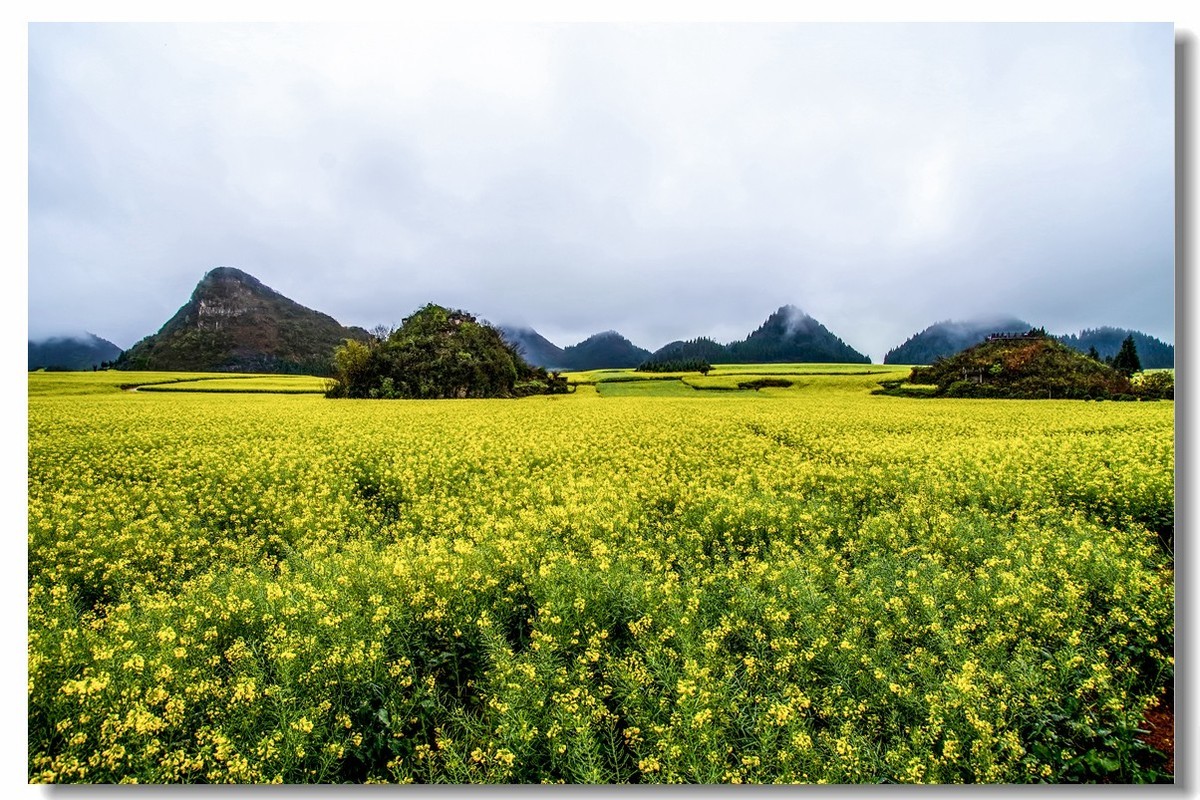 云南之旅——罗平金鸡峰丛（1）