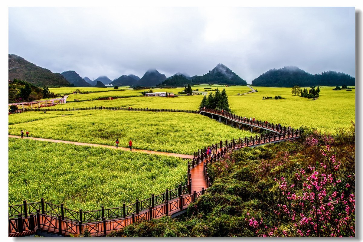 云南之旅——罗平金鸡峰丛（1）