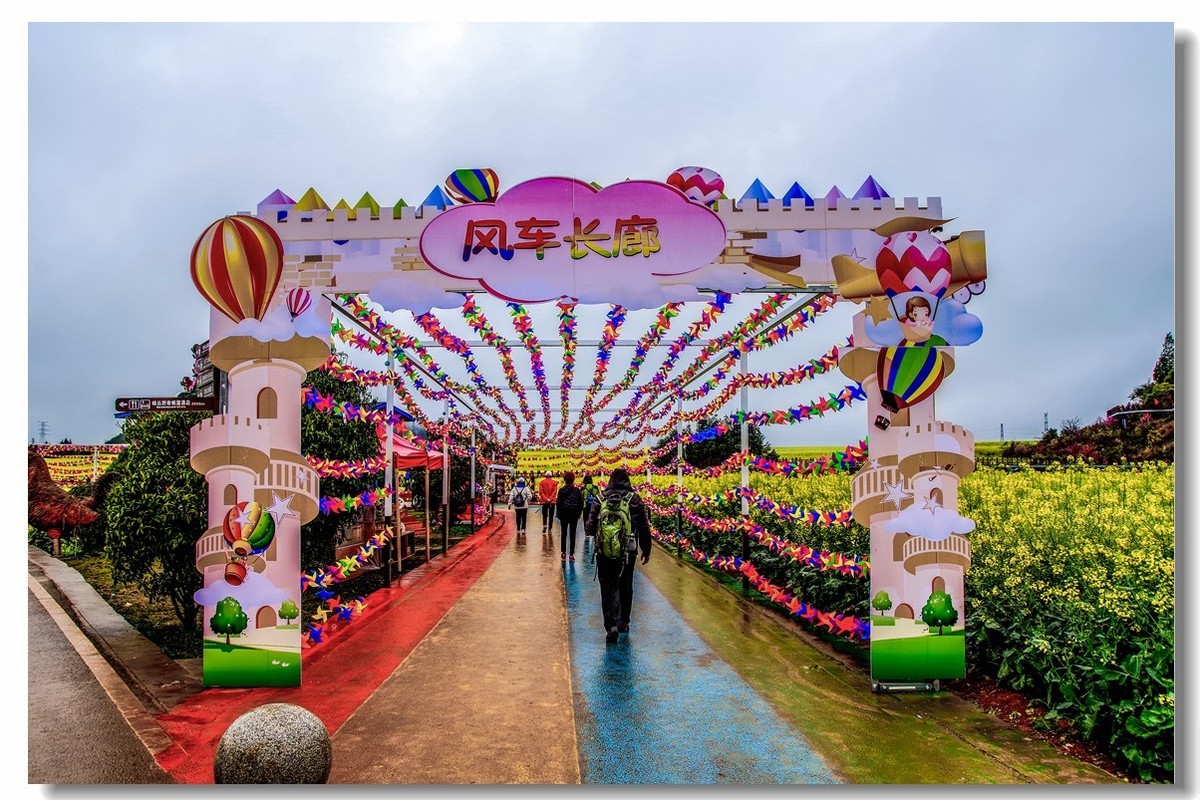 云南之旅——罗平金鸡峰丛（1）