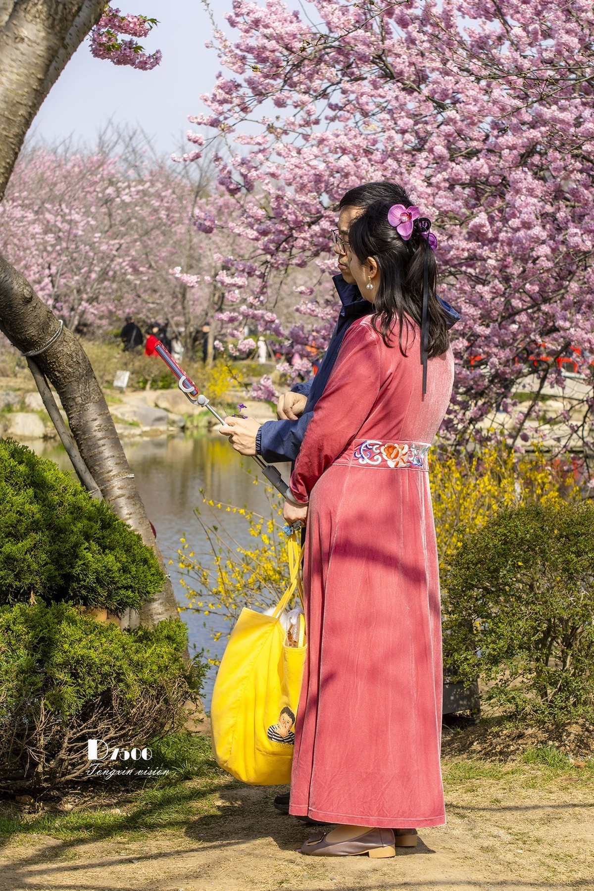 三月下江南——无锡鼋头渚（9）