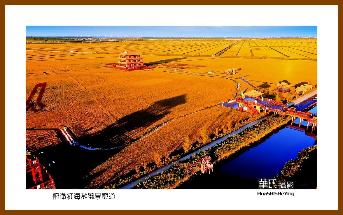 美色辽宁——俯瞰红海滩风景廊道之二（盘锦市）