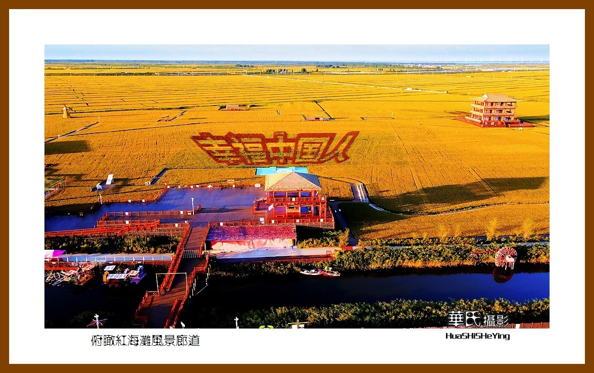 美色辽宁——俯瞰红海滩风景廊道之二（盘锦市）