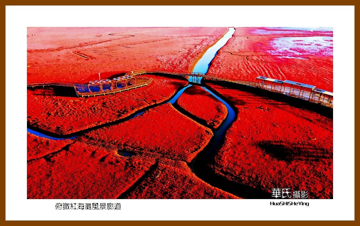 美色辽宁——俯瞰红海滩风景廊道之二（盘锦市）