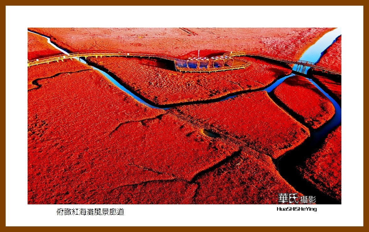 美色辽宁——俯瞰红海滩风景廊道之二（盘锦市）