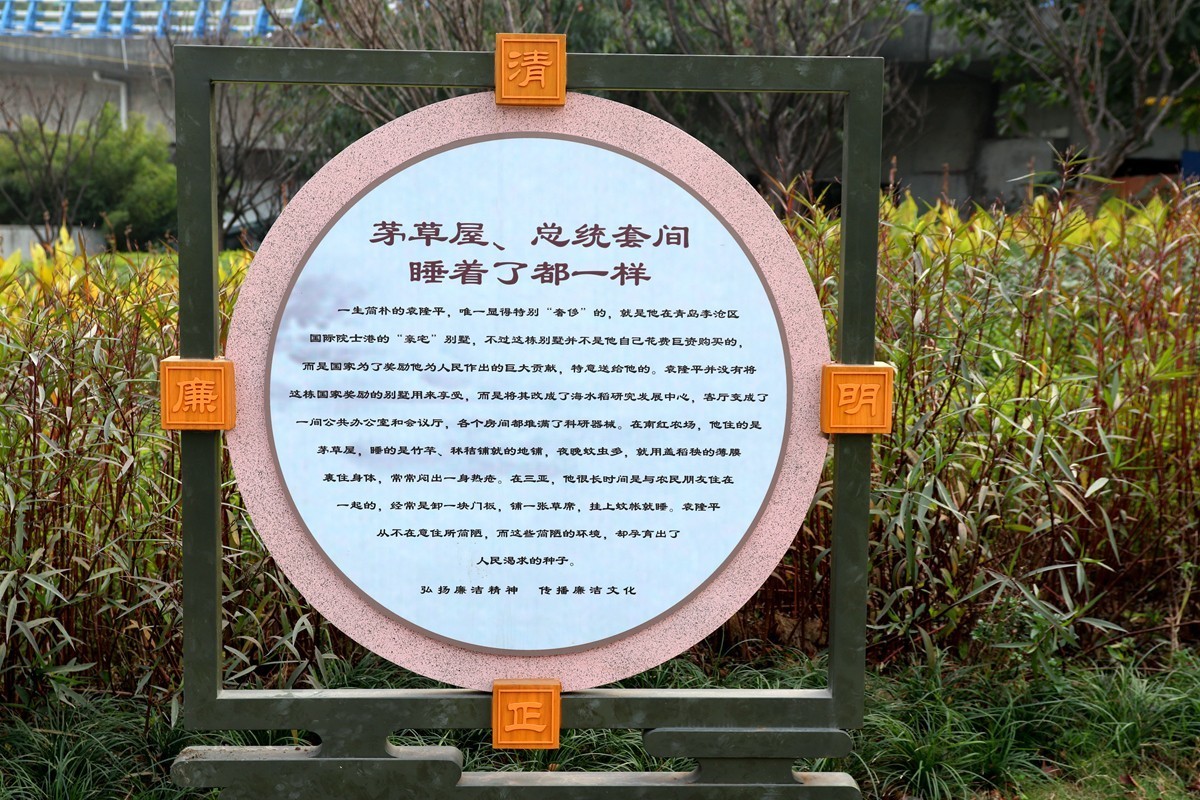 龙门老街记一（可以外出走但不要去人多的地方）