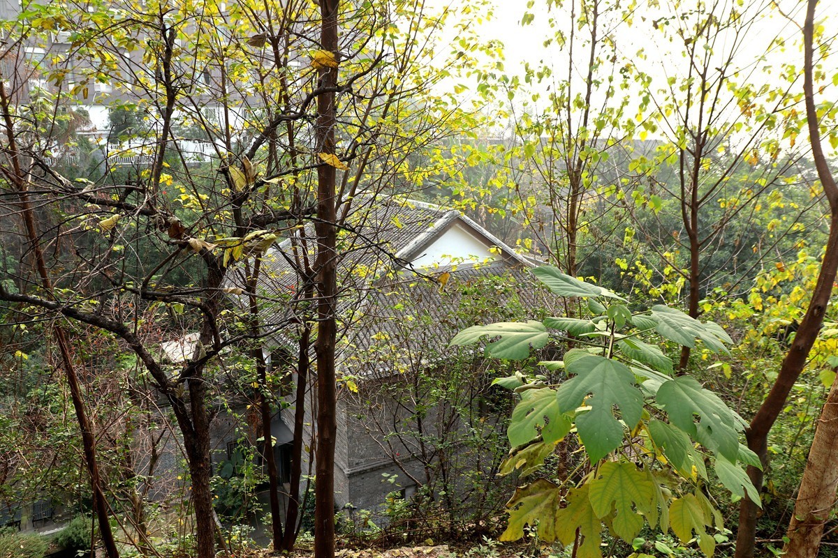 龙门老街记一（可以外出走但不要去人多的地方）