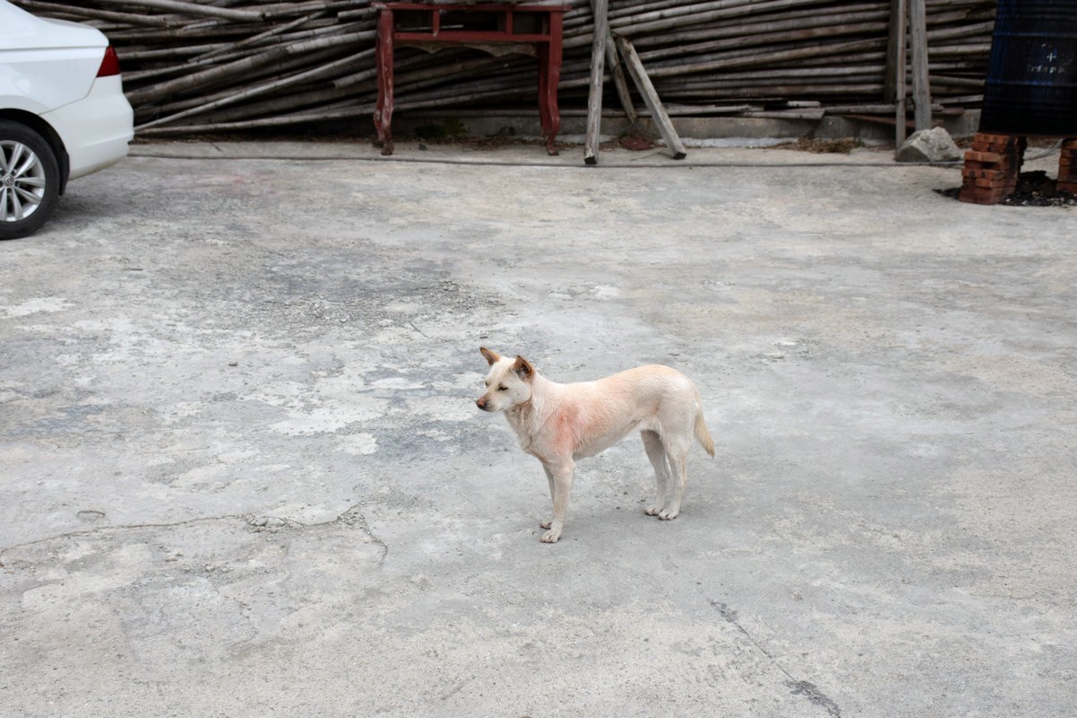 漫步星城 走街串巷（344）长沙北望第一山---玉池山