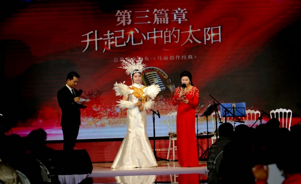 马丽新春演唱会上马丽老师！