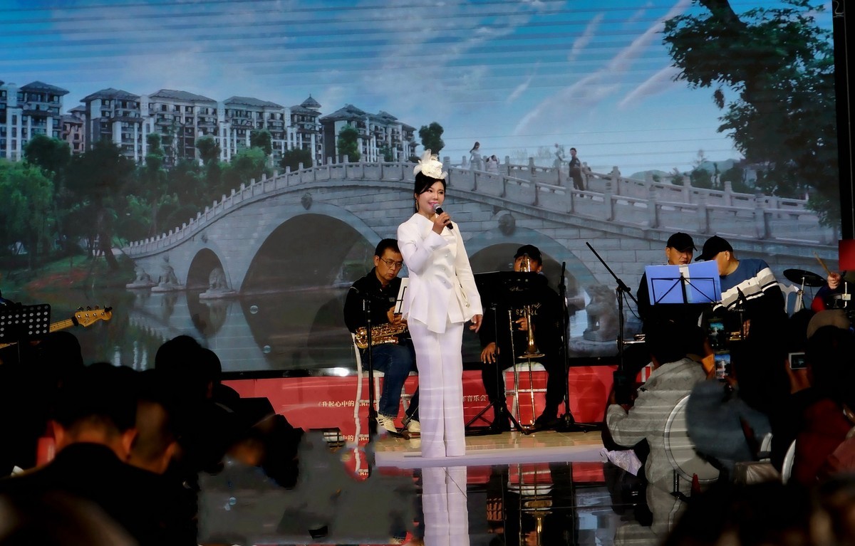 马丽新春演唱会上马丽老师！