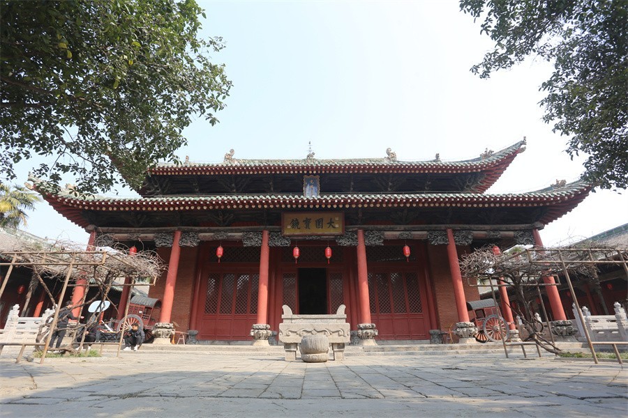 暖春洛阳风光美古城再现又一年