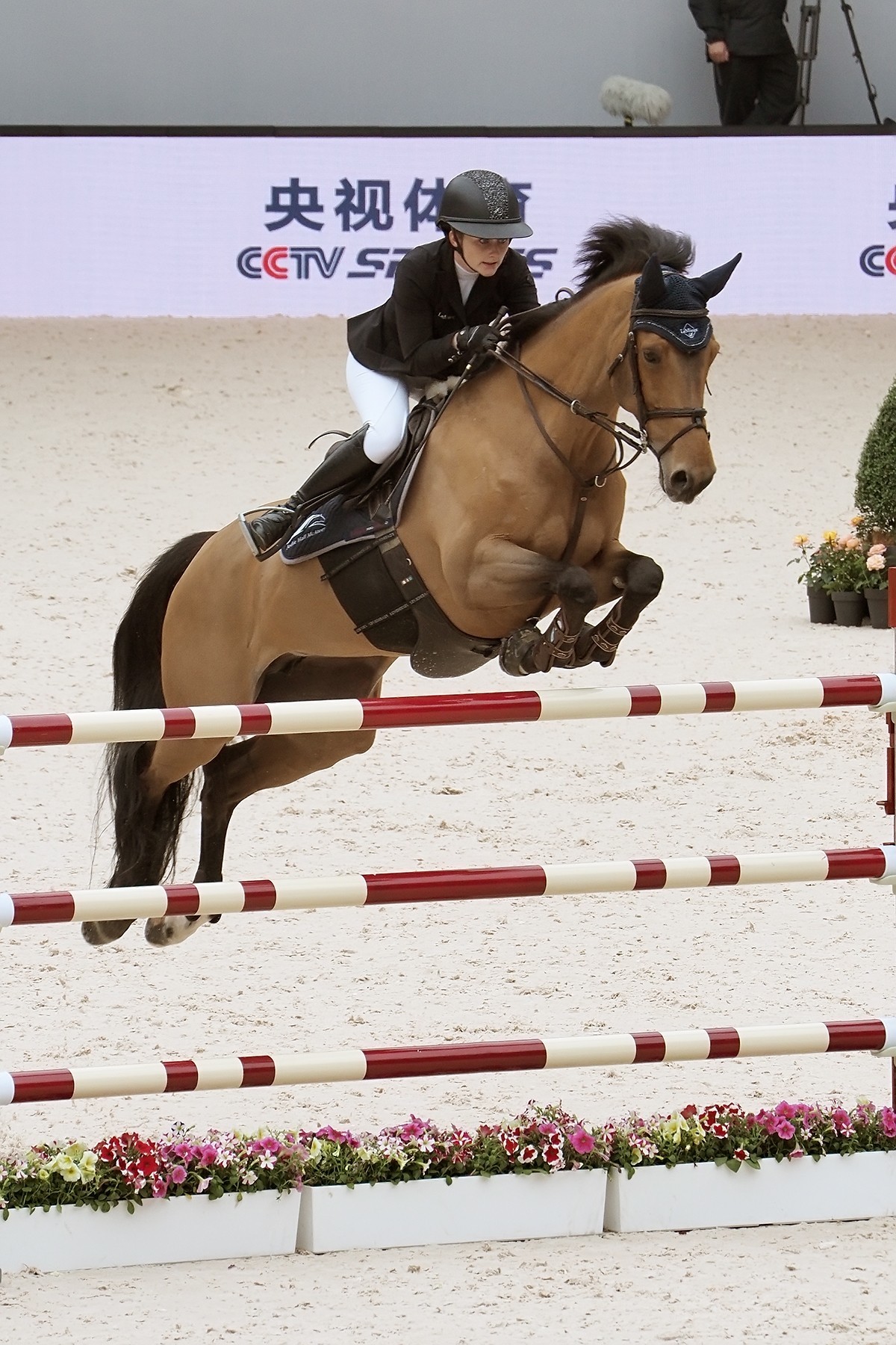 2024上海浪琴环球马术冠军赛