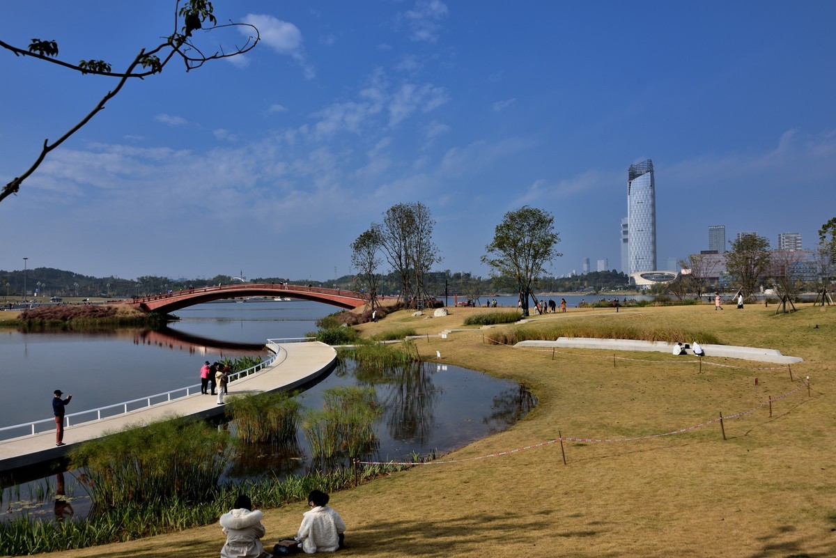 兴隆湖湿地公园【5】