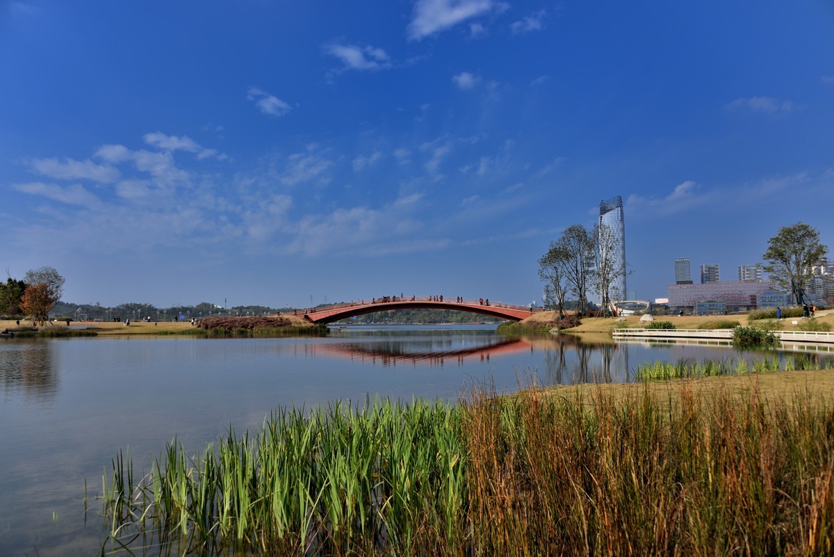 天府新区兴隆湖公园图片