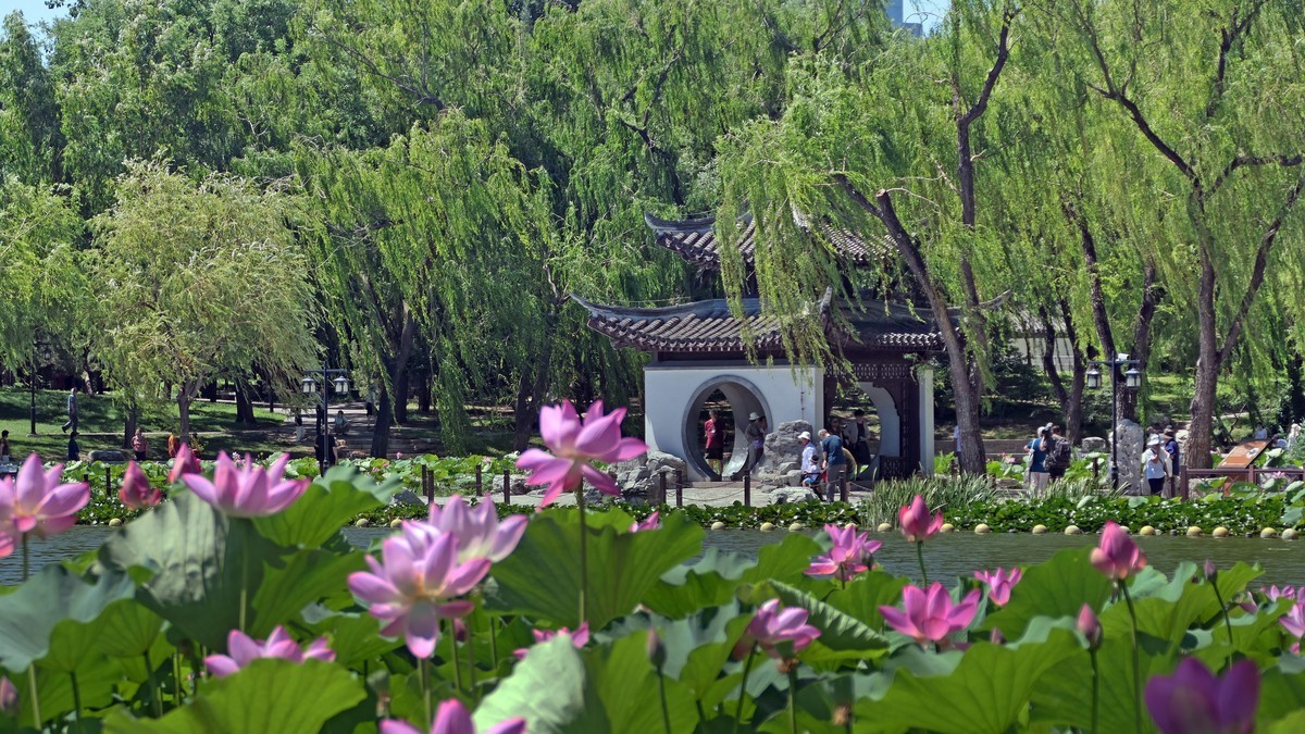 美丽的陶然亭公园景色