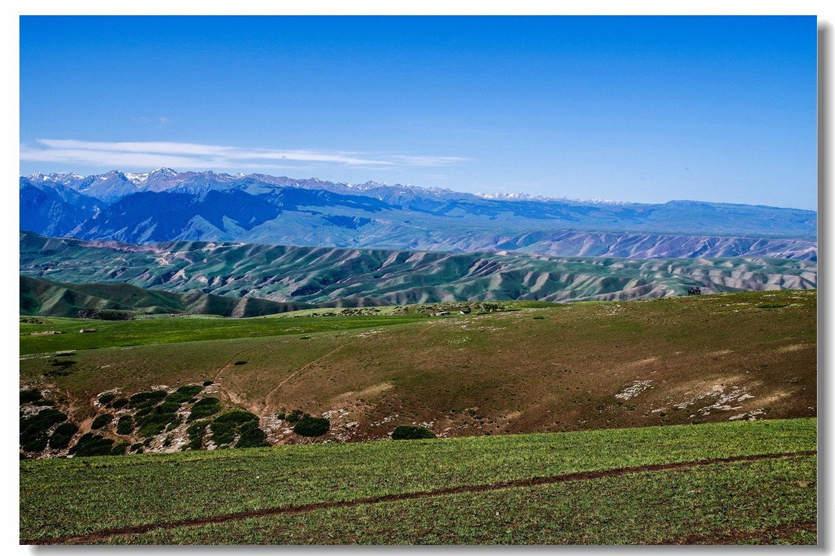 新疆之旅——喀拉峻草原（1）