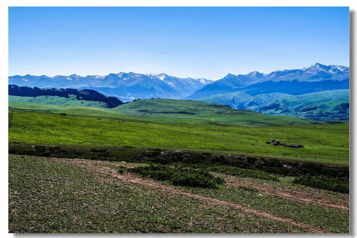 新疆之旅——喀拉峻草原（1）