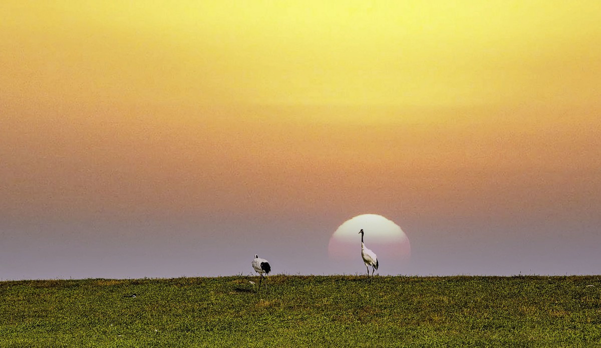 一路向北一一东北行散记3