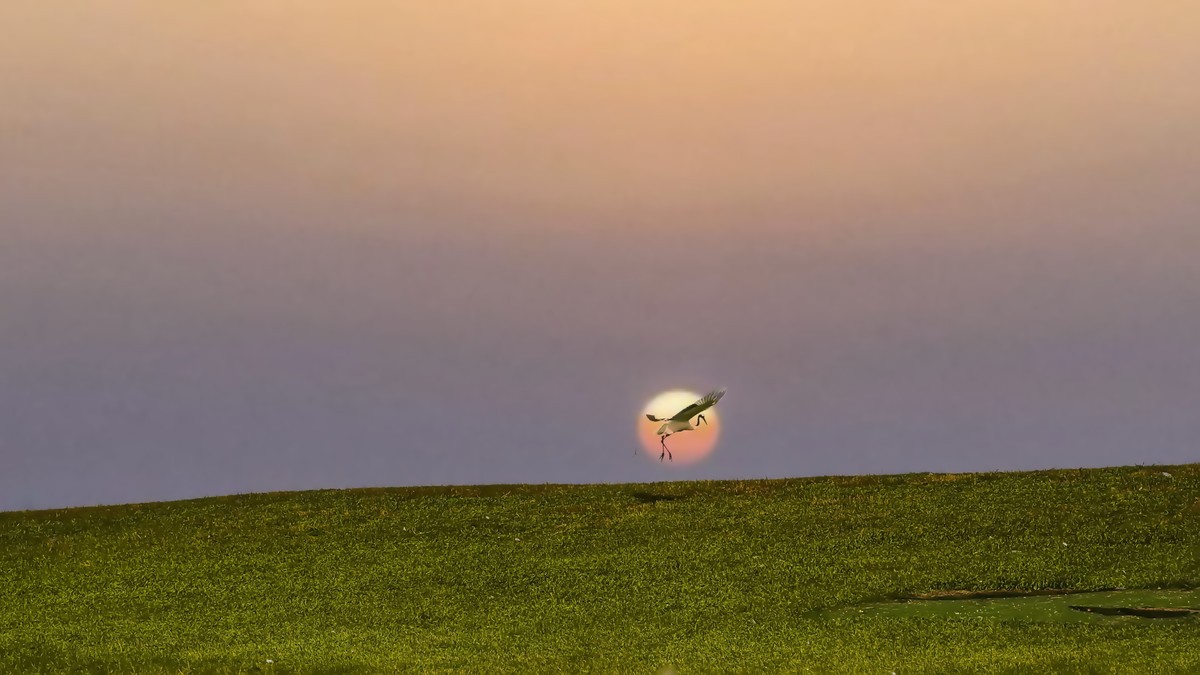 一路向北一一东北行散记3