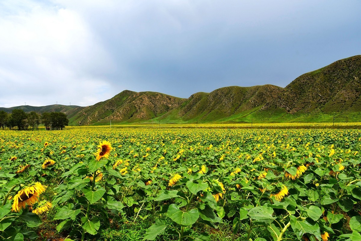 内蒙卓资县红石崖国家生态公园【2】
