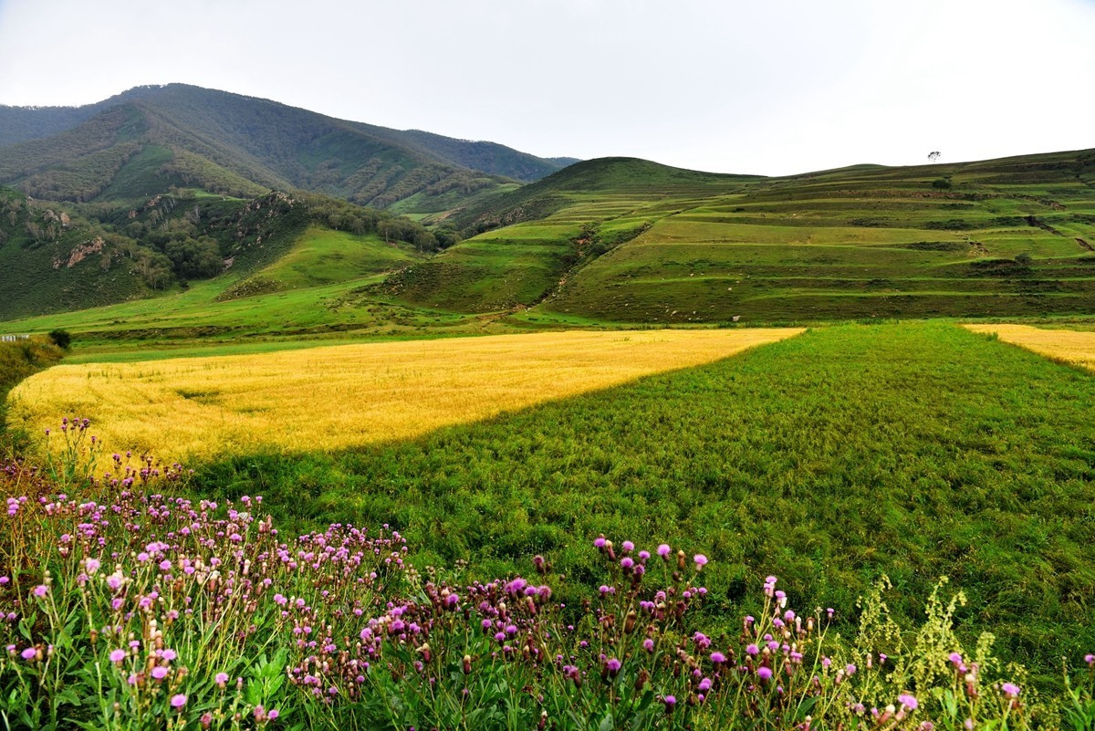 内蒙卓资县红石崖国家生态公园【2】