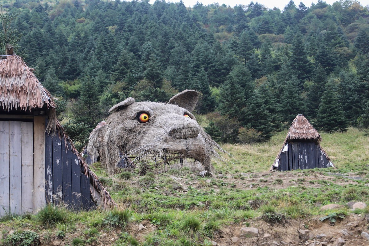 神农架4-----登神农顶