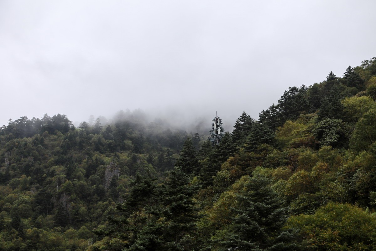 神农架4-----登神农顶