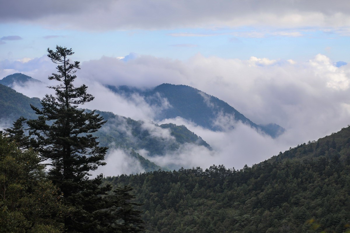 神农架4-----登神农顶