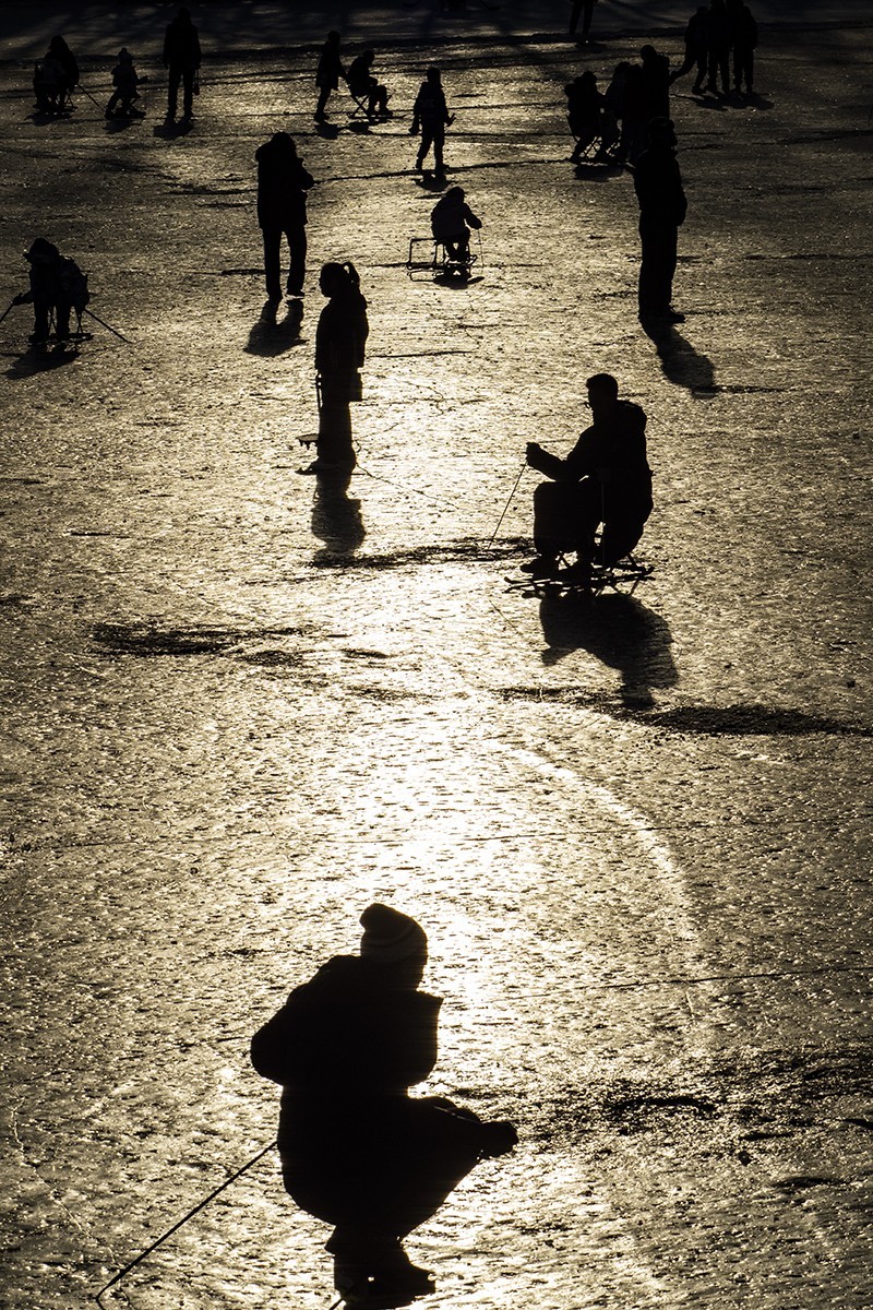 2502冬日暖阳——贺 “一泓清泉”荣任自然风景星空(中国)版主