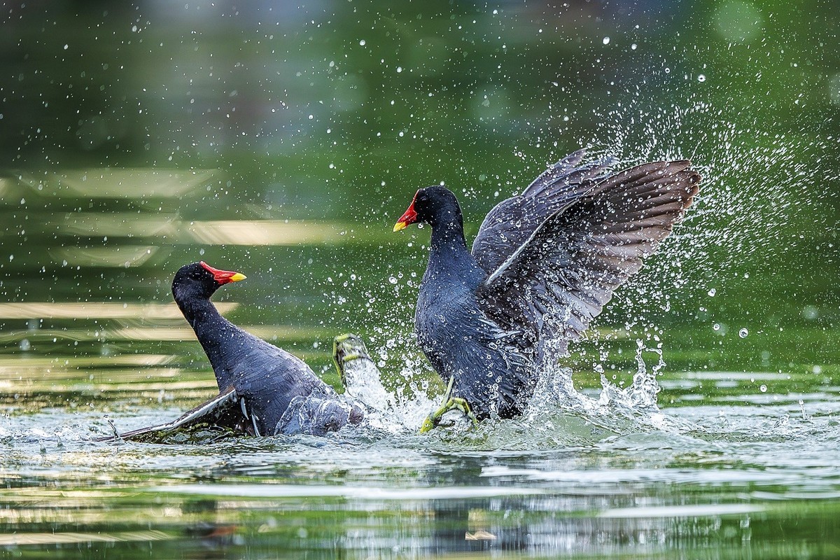 狭路相逢勇者胜