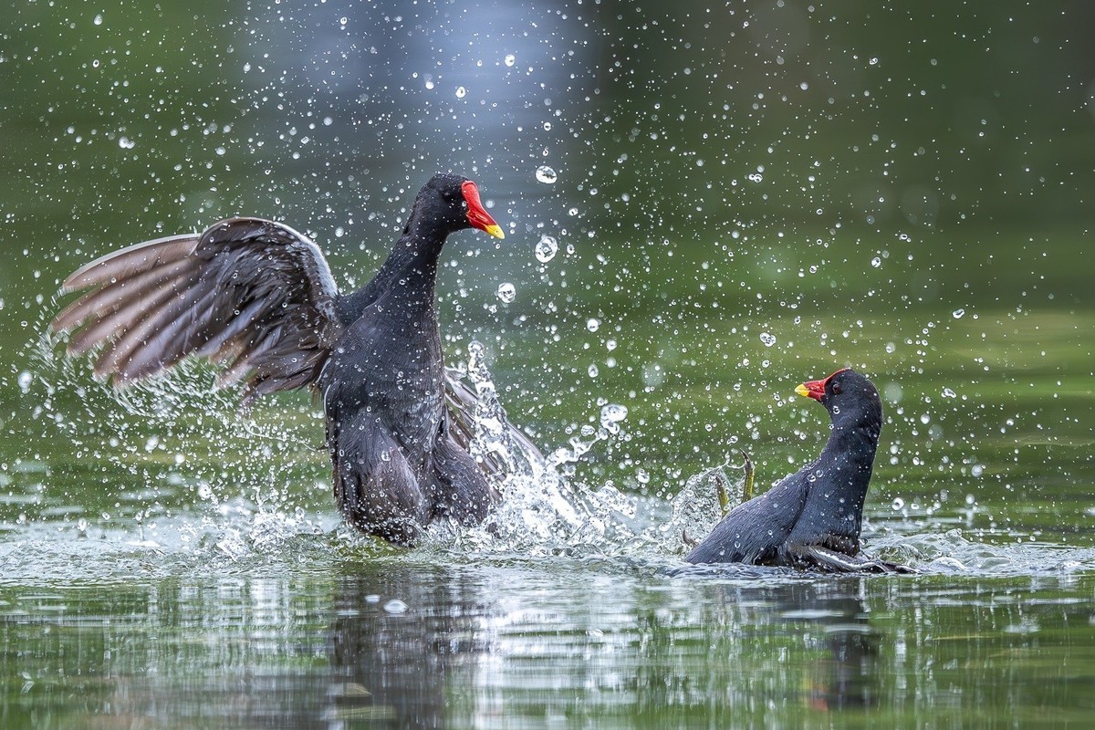 狭路相逢勇者胜
