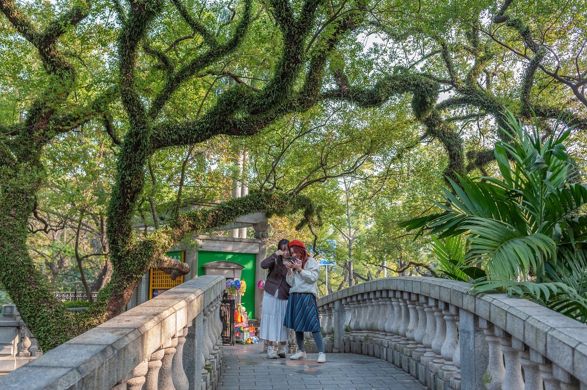 — 中山公园 —