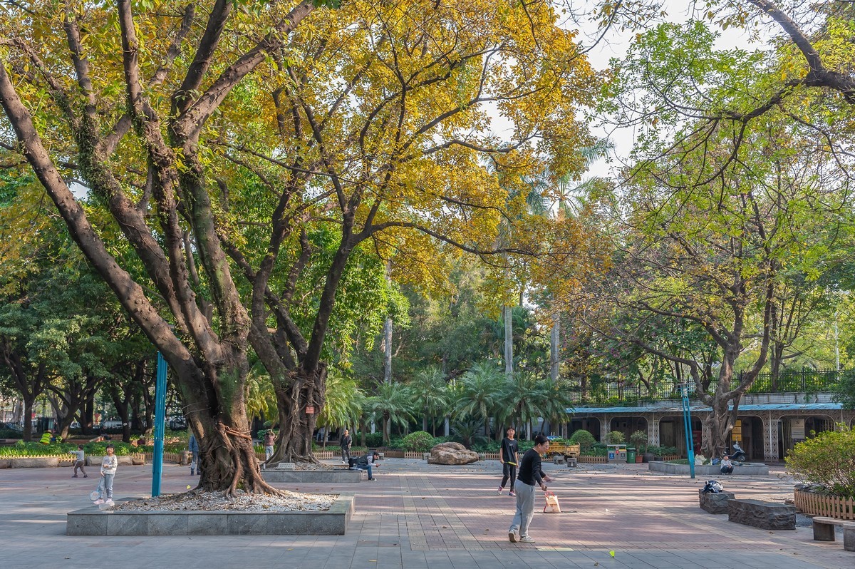 — 中山公园 —