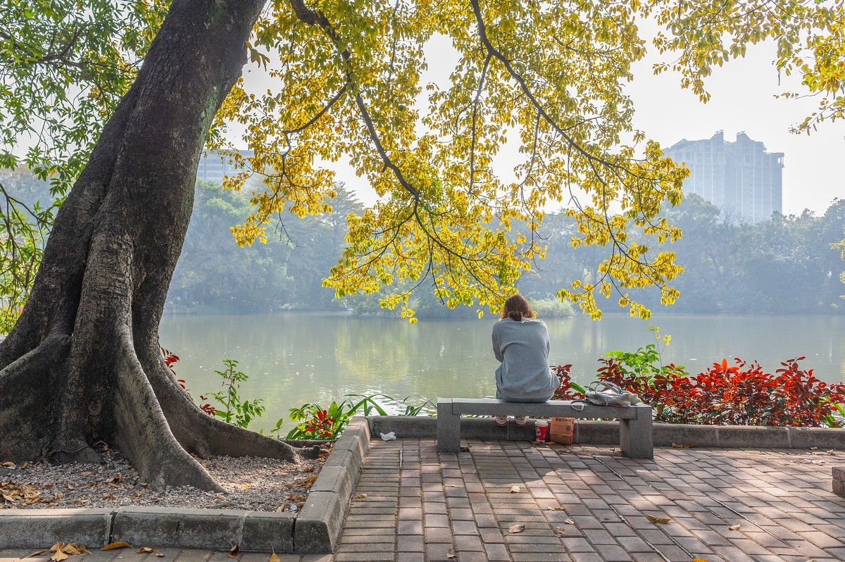 — 中山公园 —