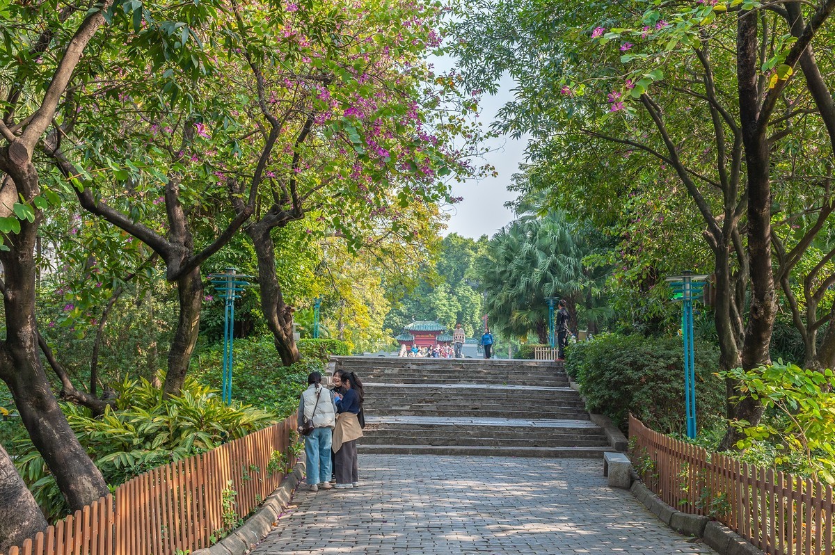 — 中山公园 —