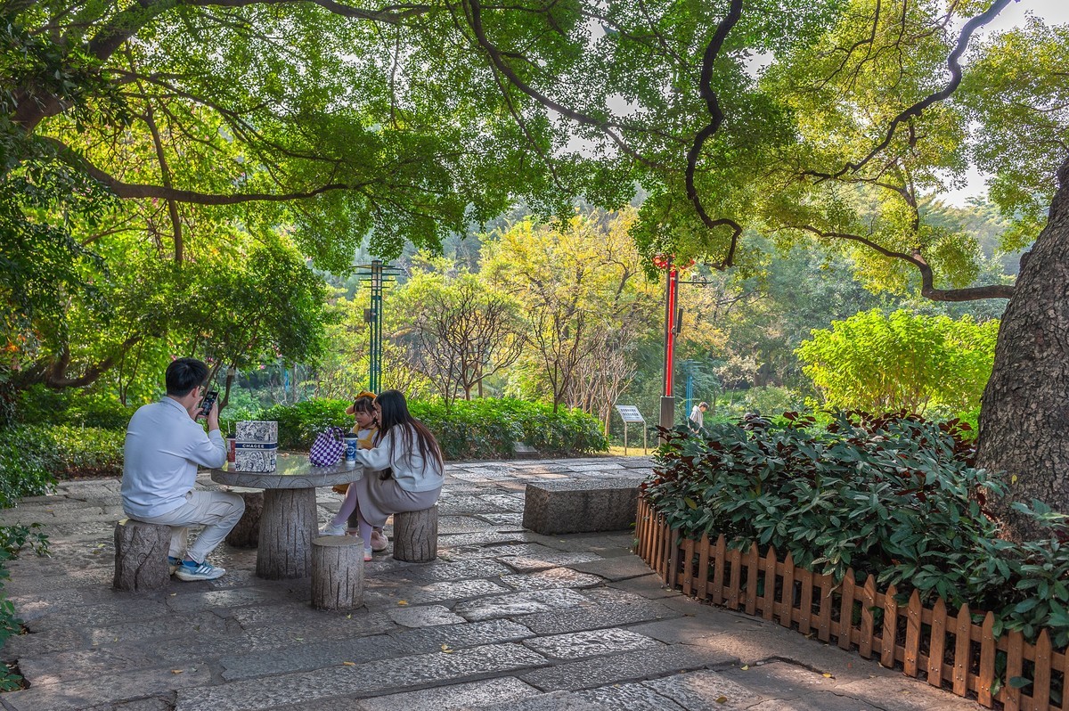 — 中山公园 —