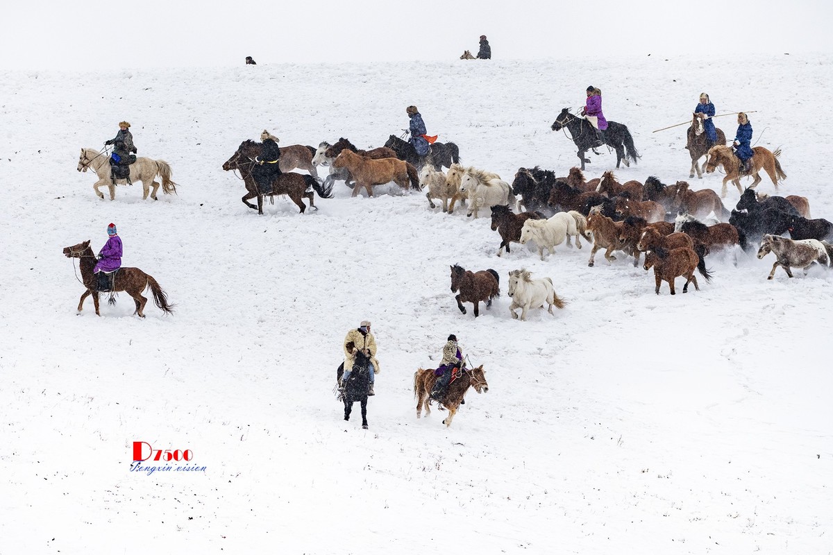 策马奔腾（47）