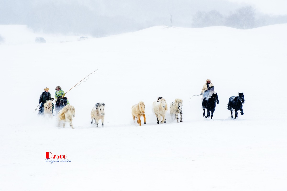 策马奔腾（47）