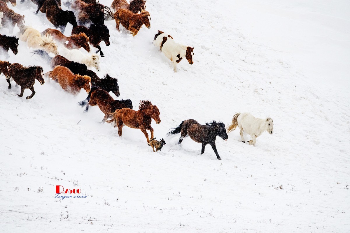 策马奔腾（47）