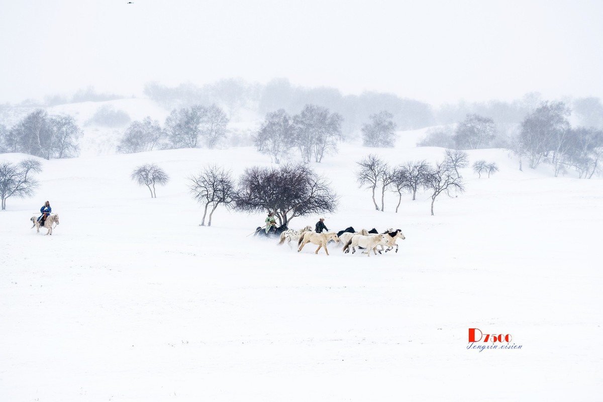 策马奔腾（47）