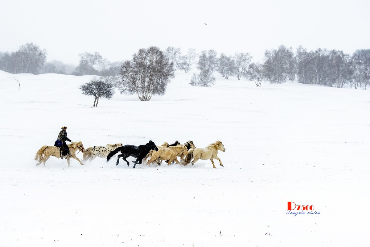策马奔腾（47）