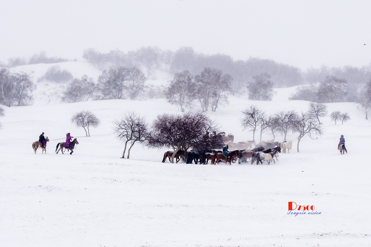 策马奔腾（47）
