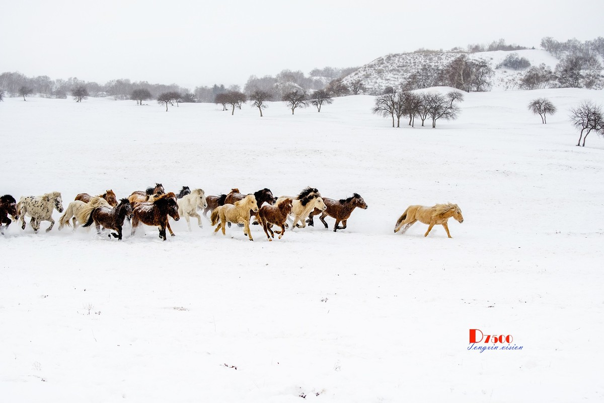 策马奔腾（47）