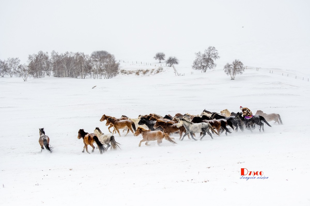 策马奔腾（47）