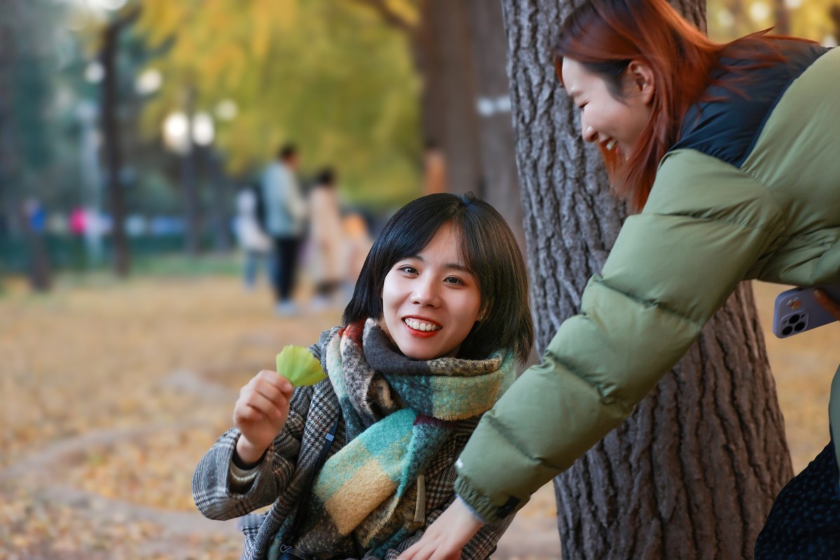 银杏树下的女孩