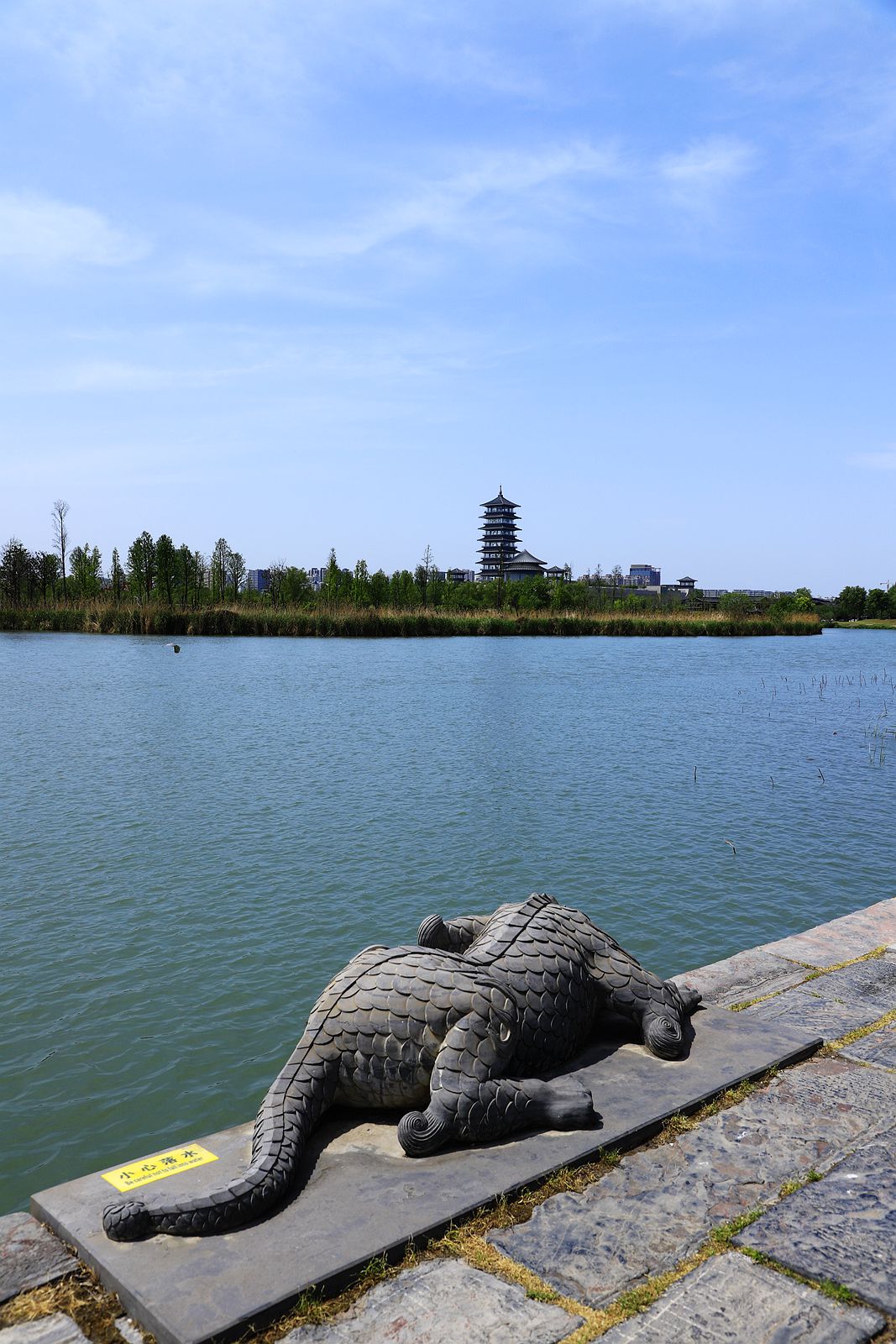 杨州运河三湾湿地公园(3)